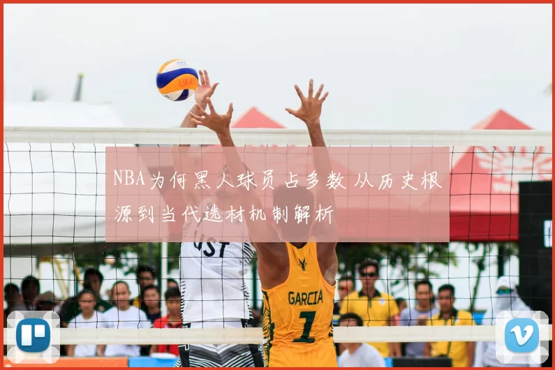 NBA为何黑人球员占多数 从历史根源到当代选材机制解析