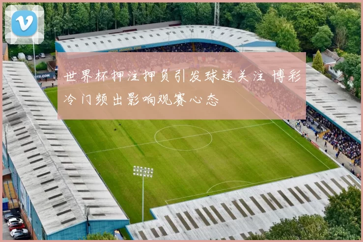 世界杯押注押负引发球迷关注 博彩冷门频出影响观赛心态