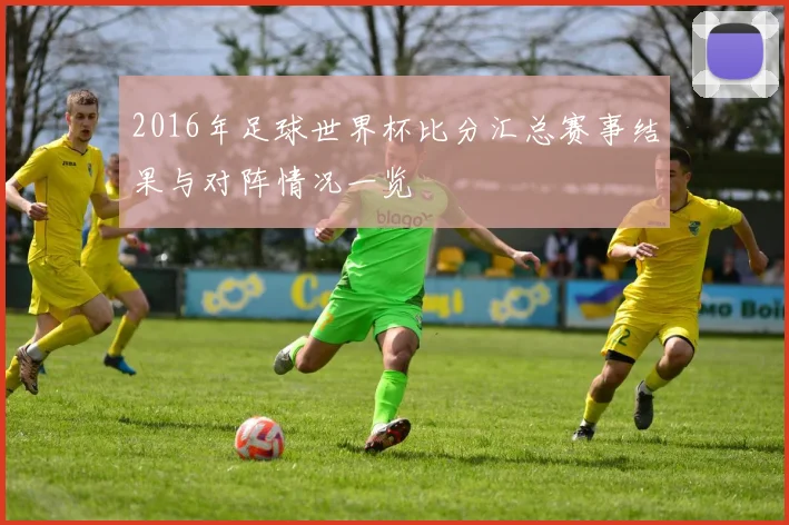2016年足球世界杯比分汇总赛事结果与对阵情况一览