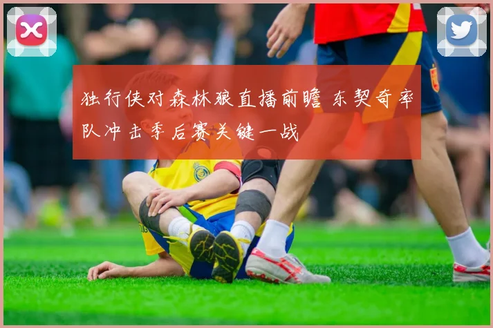 独行侠对森林狼直播前瞻 东契奇率队冲击季后赛关键一战